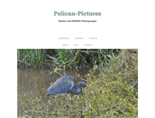 Tablet Screenshot of pelican-pictures.com